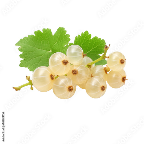 fresh organic white currant cut in half sliced with leaves isolated on white background with clipping path