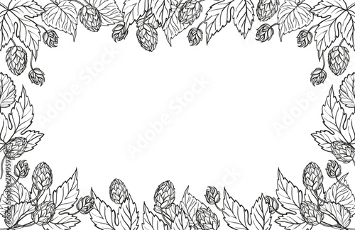 Hand drawn vector frame with hop plant, leaves and buds, craft beer ingredients, black and white illustration of branch humulus lupulus, inked illustration isolated on white background