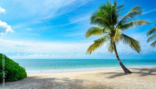 Playa tropical. Paisaje ideal junto a mar y palmeras