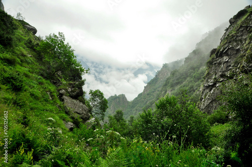 Widok w górach Kaukaz
