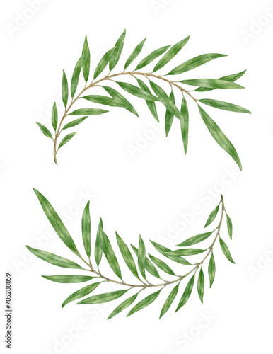 Laurel wreath with two branches. Watercolor botanical painting. Green branches isolated on transparent background. Watercolor coat of arms with branches. Decoration elements. 