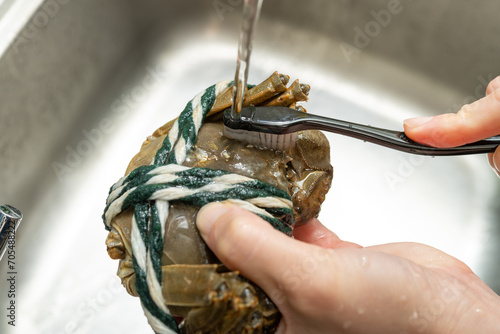 lady cleaning and brushing a crab
