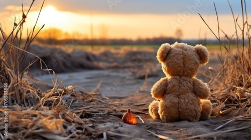  teddy bear sitting on the ground overlooks sunset,Teddy Day, Propose day, Valentines day