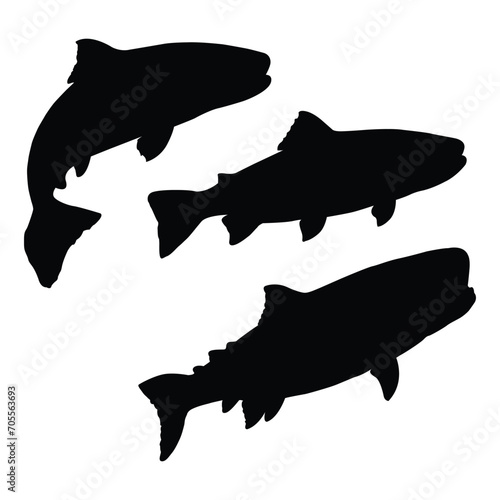 silhouette of salmon fish
