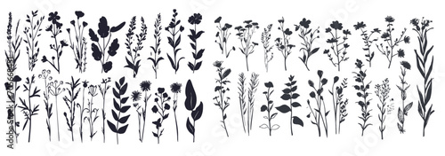 Hand drawn set of wild flowers silhouettes, branches, plants and herbs with leaves