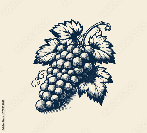 Grape Fruit hand drawn vector graphic assets