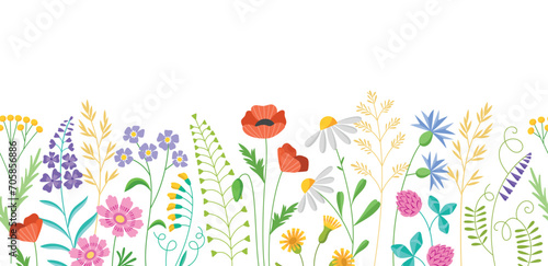Beautiful meadow flowers. Summer field grasses, spring blooming herbs, repeated background, wild decorative plants, vector seamless borders.eps