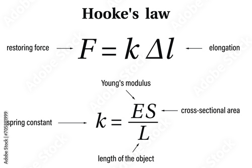Hooke’s law on the white background. Education. Science. School. Vector illustration.