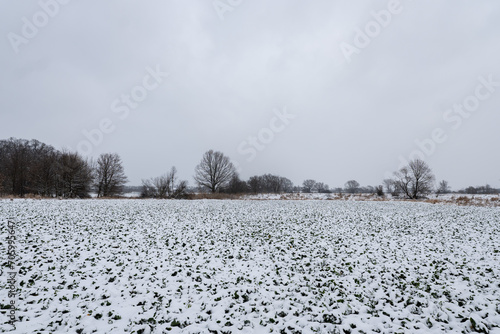 Zimowa zaśnieżonego Pola w popołudniowych godzinach pochmurnego szarego dnia w Zachodniej Polsce