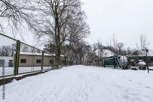 Śnieżna ścieżka idąca między posesjami odgrodzonymi płotami z siatki w zachodniej Polsce o wieczornej porze przy dużym zachmurzeniu