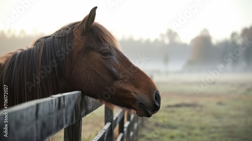 Chestnut Horse by the Fence at Dawn