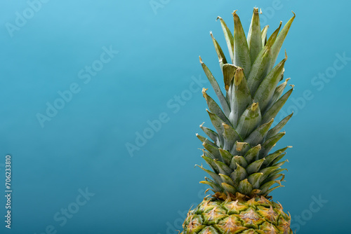 Korona ananasa złożona z pięknych lisci