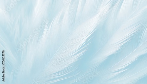 beautiful white baby blue colors pastel tone feather pattern texture cool background for decorative design wallpaper and other
