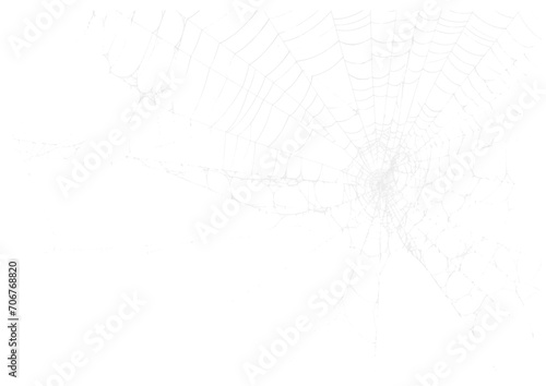 Spider Web v3 Alpha