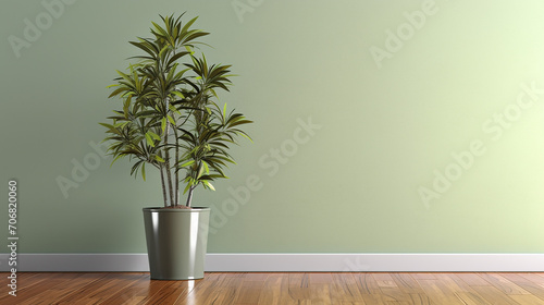 clean blank sage green wall with tropical tree in green modern design pot, baseboard on wooden parquet in sunlight for luxury interior design