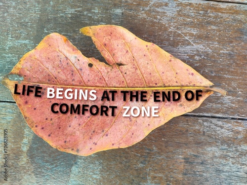 the background of leaves and the words LIFE BEGINS AT THE END OF COMFORT ZONE. the concept of aphorisms or inspiration