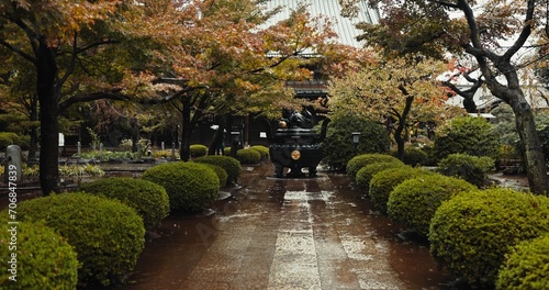 Japan graveyard, nature and trees by shrine in landscape environment, autumn leaves and plants. Rain, countryside and tomb for asian culture in urban kyoto and cemetery for indigenous shinto religion