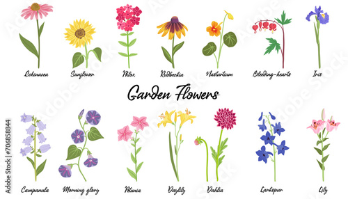 vector drawing garden flowers at white background, hand drawn botanical illustration, set of floral design elements
