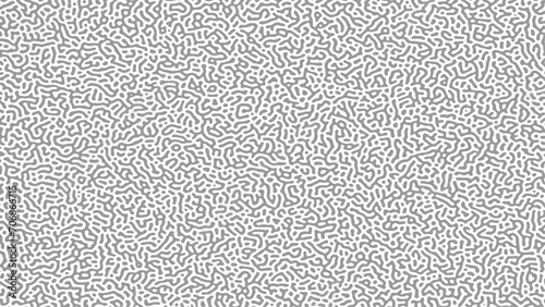 Black and white turing pattern. vector image. Abstract turing organic wallpaper background