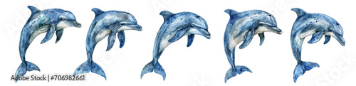 Watercolor dolphin set isolated on transparent background. 