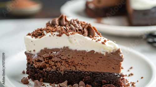 Delicious chocolate mud cake with melted marshmallows on a plate. American cuisine pastry
