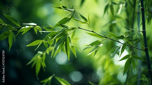 Bamboo stalks sway gently in the breeze, their rustling creating a soothing soundtrack