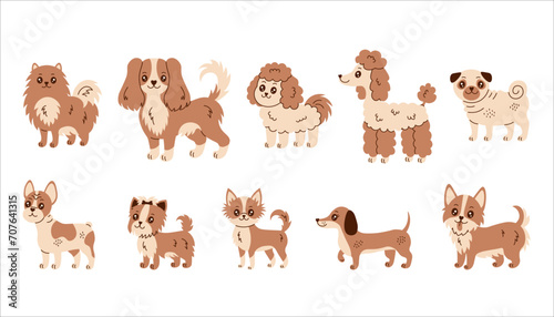Cute dog breeds vector set. Cartoon illustrations collection of various popular purebred small and toy puppies in flat style for veterinary, pets, kids