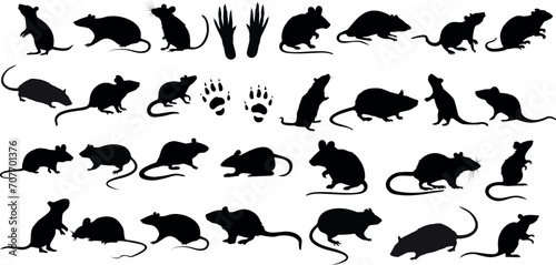 rat silhouettes in various poses on white background, perfect for pest control, Halloween graphics, vector illustrations. Includes running, sitting, standing rats and footprints