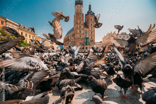 Krakow, Poland. Doves Birds Near St. Mary's Basilica. Pigeons Take-off Flying Near Church Of Our Lady Assumed Into Heaven. UNESCO World Heritage Site.