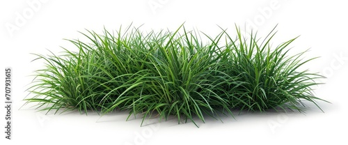 Perfect Fresh Juicy Grass, Background Banner For Business, Desktop Background