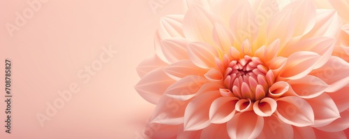 Dahlia flower on light orange background. Backdrop for greeting card, banner, poster, wallpaper, print. Valentine, Mother's and Women's day concept. Peach fuzz - color of 2024 year