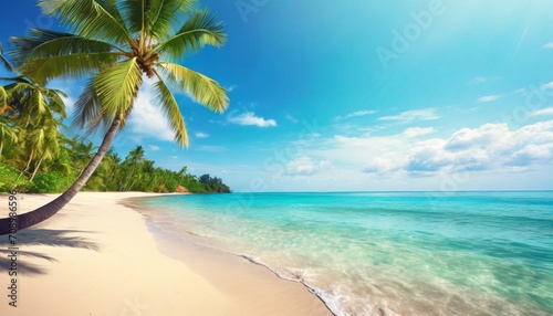 beautiful tropical island sea beach landscape turquoise ocean water yellow sand sun blue sky white cloud green coconut palm tree leaves paradise nature summer holidays vacation tourism travel