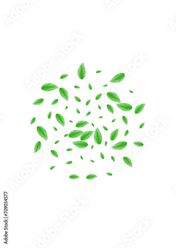 Greenish Leaf Background White Vector. Foliage Selective Texture. Food Illustration. Green Element Frame. Plant Flavor.