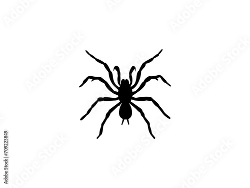 Spider icon vector. Spider vector design and illustration. Spider silhouette isolated white background