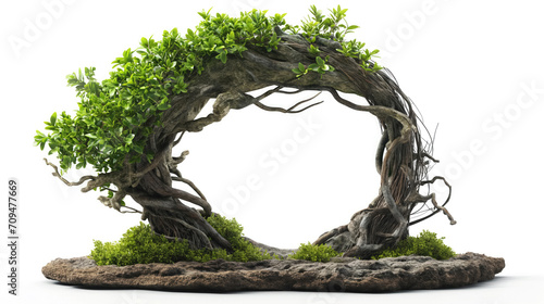 Intricate bonsai tree forming a circular arch on a white background.