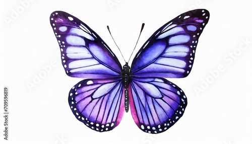 purple butterfly hand drawn watercolor illustration object on a white background for decoration and design