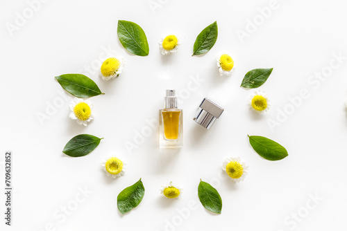 Floral essential parfume with white and yellow chamomile flowers, top view