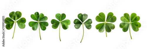Set collection of lucky clover and shamrock isolated on transparent background, Saint Patrick day celebration symbol, png file