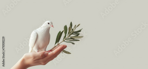 White dove with an olive branch, symbol of peace.