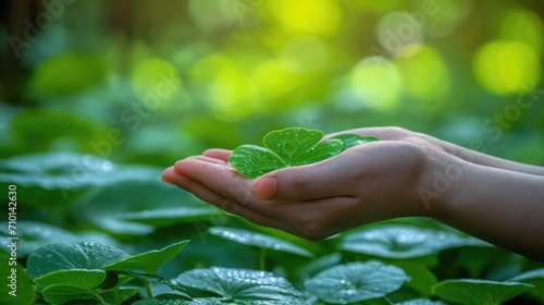 Wellness and Healing, Hand Holding Gotu Kola in a Serene Natural Setting, Calm, Green Background, Focus on Healing and Balance