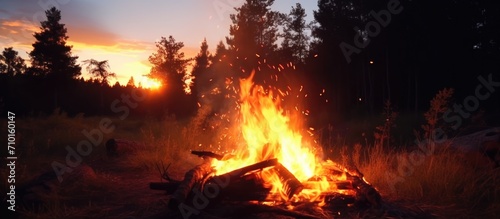 Sunset bonfire in forest meadow; Slowmotion fireplace in nature.