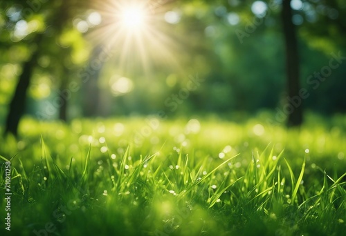 Natural green defocused spring summer blurred background with sunshine Juicy young grass and foliage