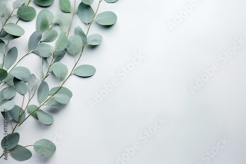 Eucalyptus branches arranged on a pastel gray backdrop. The leaves form a pattern in a flat lay style, captured from a top view with empty space for text.
