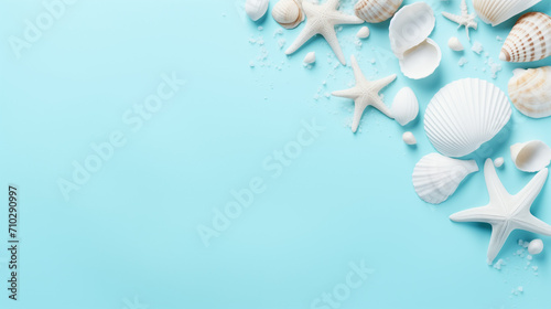 Seashells on light cyan background top view in flat lay style.