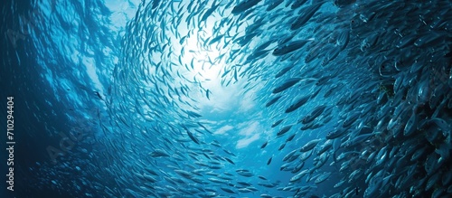 Scuba diving captures an underwater scene with a swirling school of silver fish in a tropical sea.