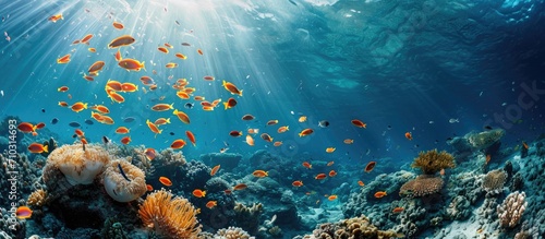 The ocean's depths teem with aquatic wildlife, including fish, making it perfect for scuba diving and underwater photography.