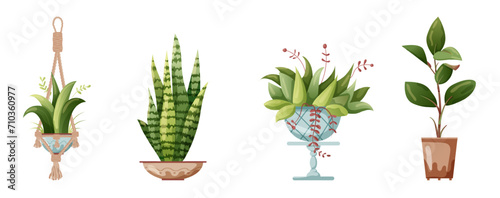 Houseplant and macrame plant growing in pots. Set of handmade home decorations macrame plants isolated on white background. Cartoon flat illustration.