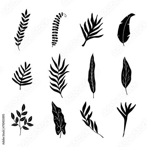 Set of tropical palm leaves silhouette isolated on white background.
