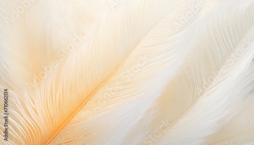 beautiful white feather pattern texture background with orange light illustration