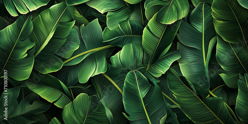 Floral background of dark green tropical leaves close up. Natural foliage texture. Flat lay, illustration, wallpaper, banner. Tropical nature concept